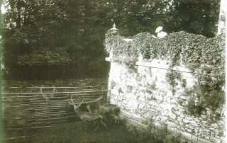 Schloss Langburkersdorf früher